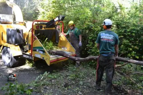 tree services Hutsonville